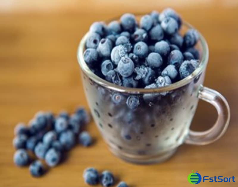 images/1669963655304blueberry grader.jpg